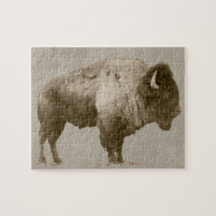 Puzzle American Bison
