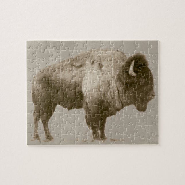 Puzzle American Bison (Horizontal)