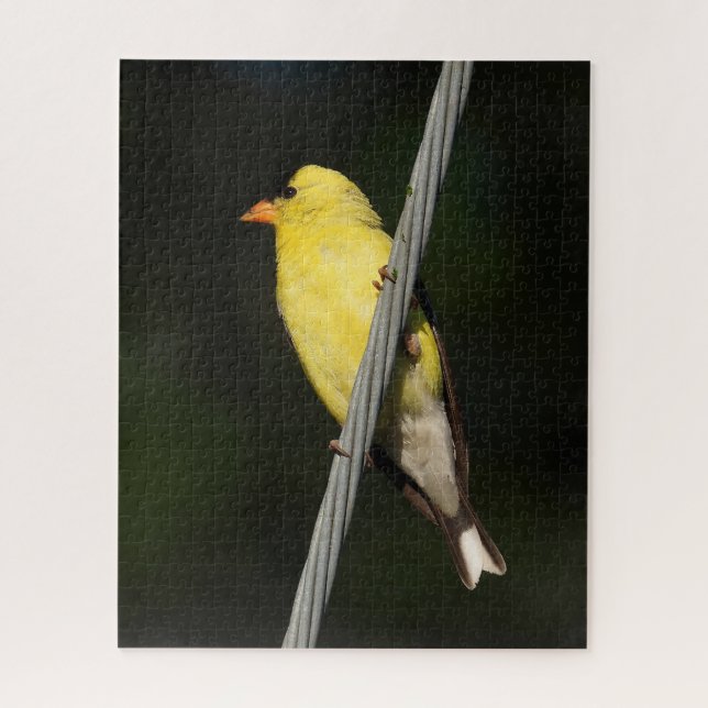 Puzzle American Gold Finch - Dark Green Background (Vertical)