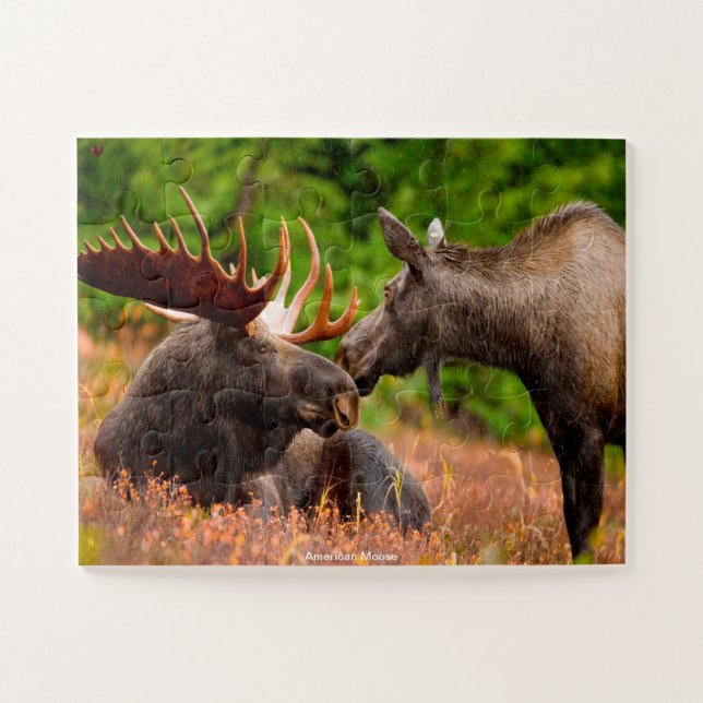 Puzzle American Moose (Horizontal)
