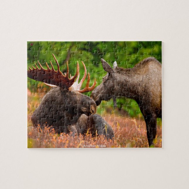 Puzzle American Moose (Horizontal)