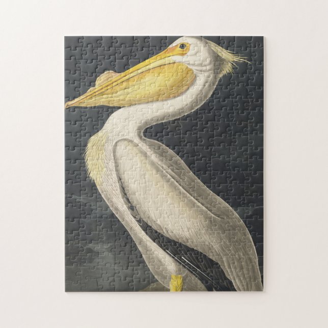 Puzzle American White Pelican from Birds of America (Vertical)