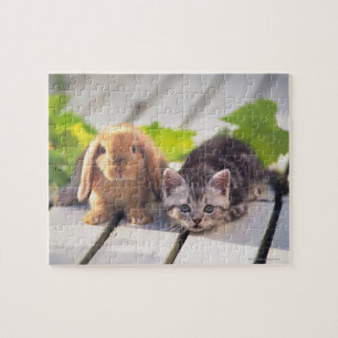 Puzzle Americano Shorthair y conejito