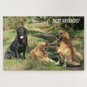 Puzzle Amigables Perritos Lindos