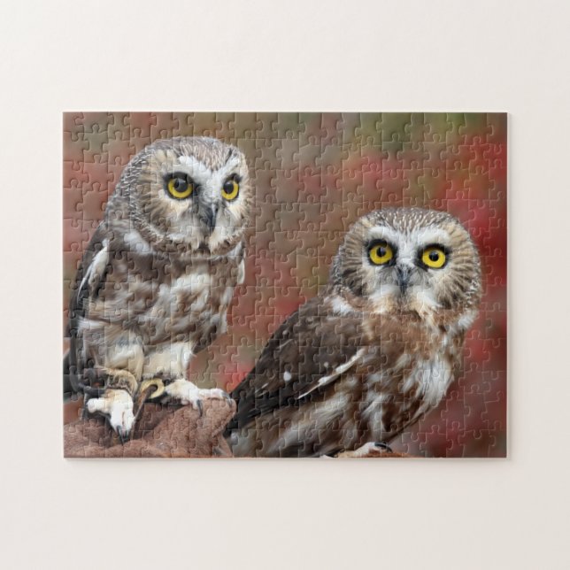 Puzzle Amigos (Horizontal)