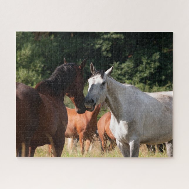 Puzzle Amigos caballos (Horizontal)