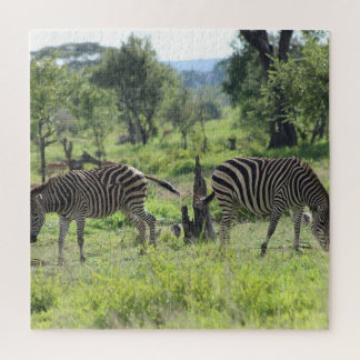 Puzzle Amigos de la cebra