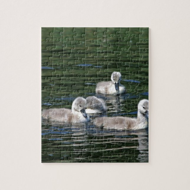 Puzzle Amigos de la nadada (Vertical)