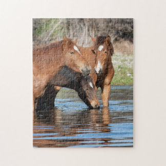 Puzzle Amigos del río