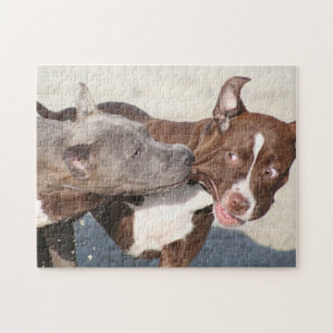 Puzzle Amigos en juego - Cachorros Pitbull