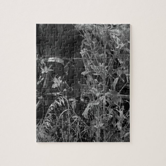 Puzzle Amish Horse Black and White Grunge (Vertical)