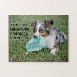 Puzzle Amo a mi Merle Azul Miniatura Pastor Americano