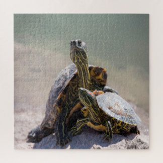 Puzzle Amor a la tortuga