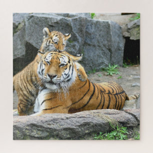 Puzzle Amor Al Tigre Y Al Cubo
