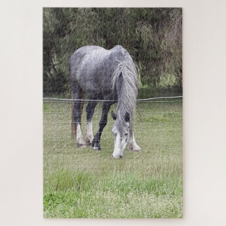 Puzzle Amor de caballo