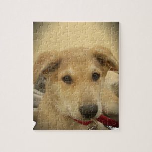 Puzzle Amor de Cachorro: El Mejor Amigo del Hombre