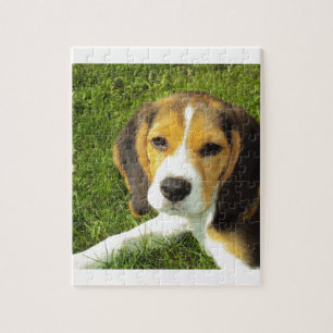 Puzzle Amor de la paz de los animales de mascota del perr