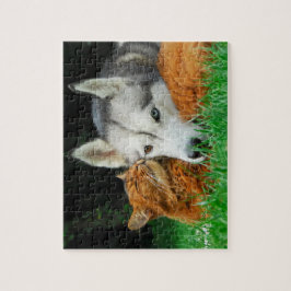 Puzzle Amor lindo del grupo de los amigos del husky