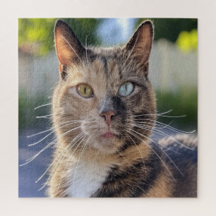 Puzzle Añadir Personalizar de fotos de gato