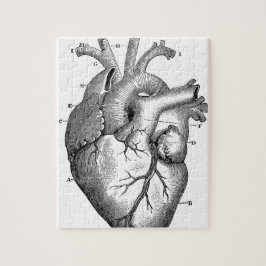 Puzzle Anatomía-Corazón-Imagen-Vintage