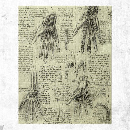 Puzzle Anatomía de la mano humana por Leonardo da Vinci