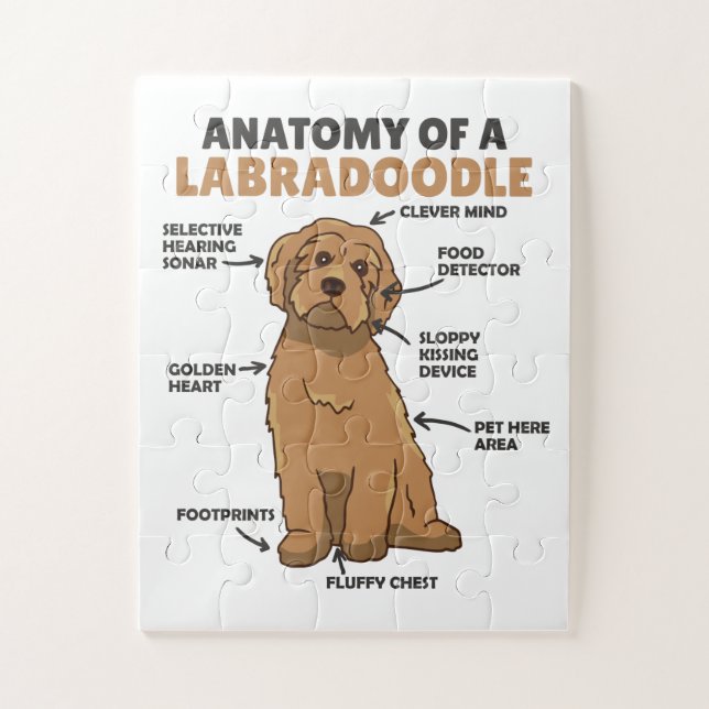 Puzzle Anatomía De Un Cachorro De Cañón De Labradoodle (Vertical)