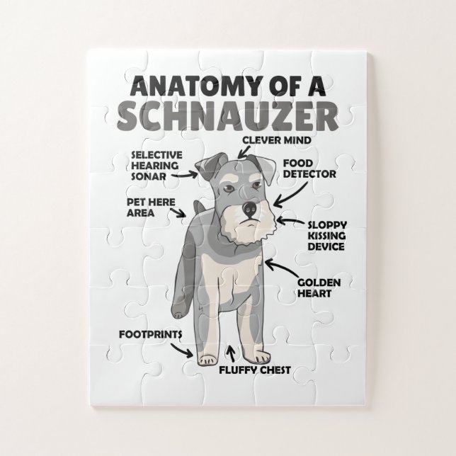 Puzzle Anatomía De Un Cachorro De Perro Schnauzer Cute (Vertical)