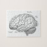 Puzzle Anatomía del cerebro del vintage<br><div class="desc">Anatomía del cerebro del vintage</div>
