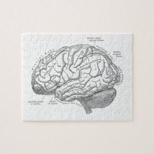 Puzzle Anatomía del cerebro del vintage