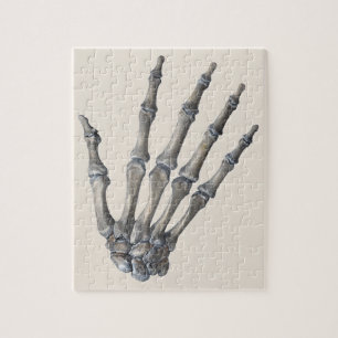 Puzzle Anatomía Humana Antigua Ciencia, Manos de Esquelet