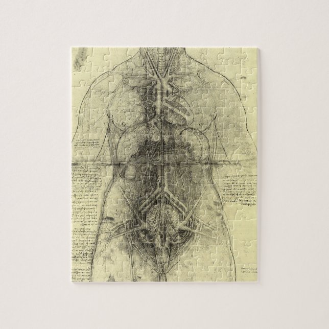 Puzzle Anatomía humana, Torso femenino, de Leonardo da Vi (Vertical)