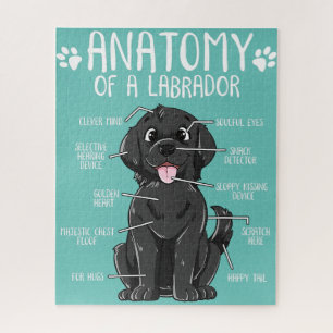 Puzzle anatomía labrador retriever black lab dog