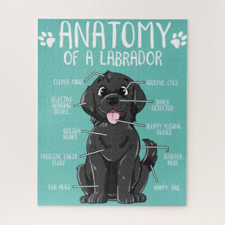 Puzzle anatomía labrador retriever black lab dog