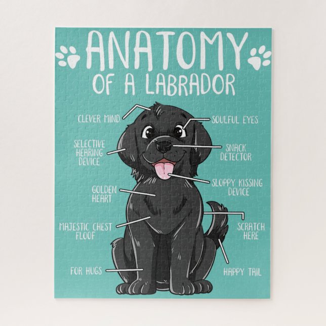 Puzzle anatomía labrador retriever black lab dog (Vertical)