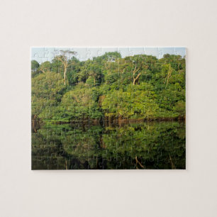 Puzzle Anavilhanas, Amazonas, Brasil. Río de selva tropic
