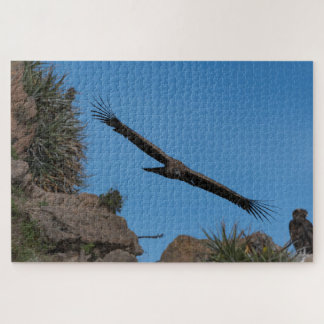 Puzzle Andes condor in Colca Canyon, Peru