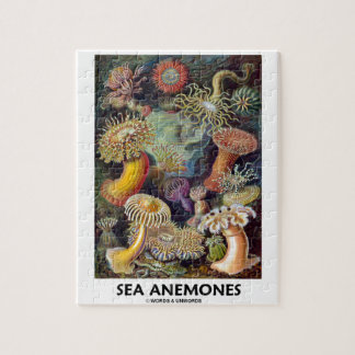 Puzzle Anémonas de mar
