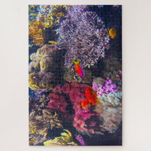Puzzle Anémonas de mar y peces tropicales.