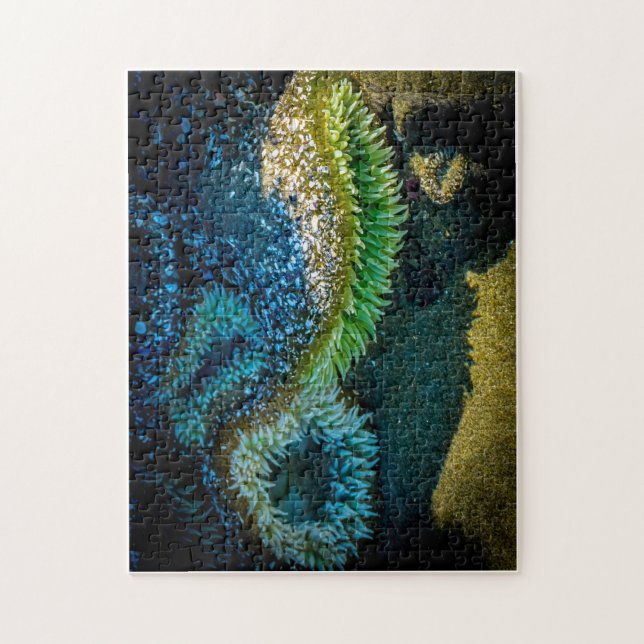 Puzzle Anémonas marinas en Cox Bay, Tofino, BC (Canadá) (Vertical)