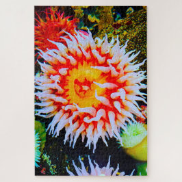 Puzzle Anemonías marinas