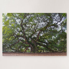 Puzzle Angel Oak, Carolina del Sur