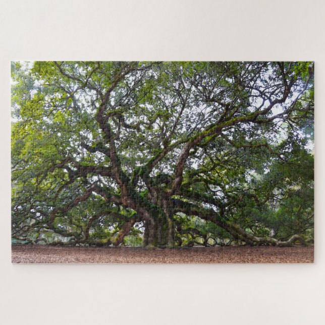 Puzzle Angel Oak, Carolina del Sur (Horizontal)