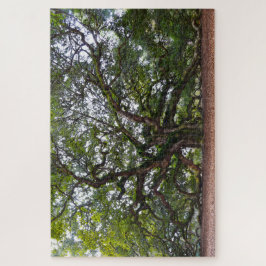 Puzzle Angel Oak, Carolina del Sur