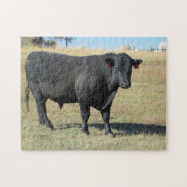 Puzzle Angus negro en la pastura