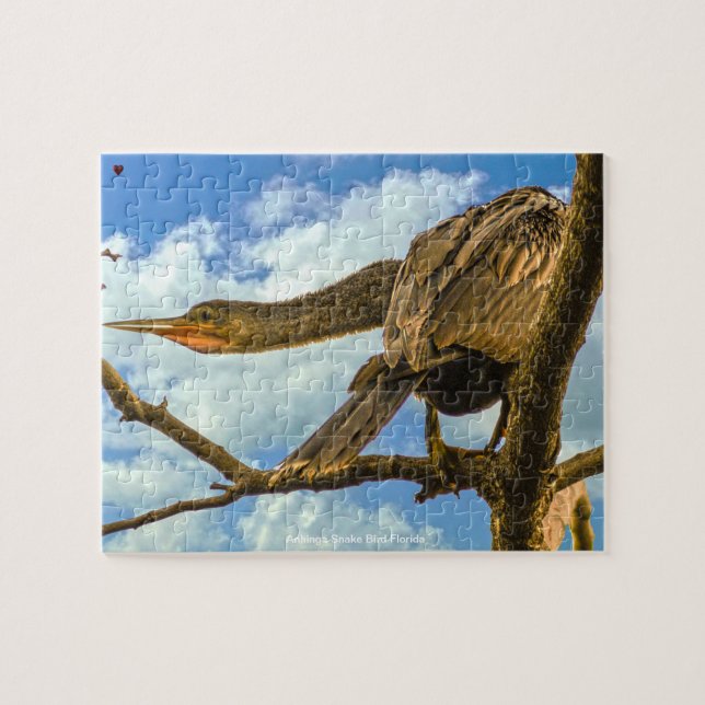 Puzzle Anhinga Pájaro Serpiente Florida (Horizontal)