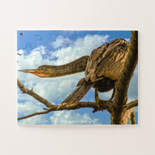 Puzzle Anhinga Snake Bird Florida (Horizontal)