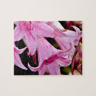 Puzzle Animadas lirios rosas