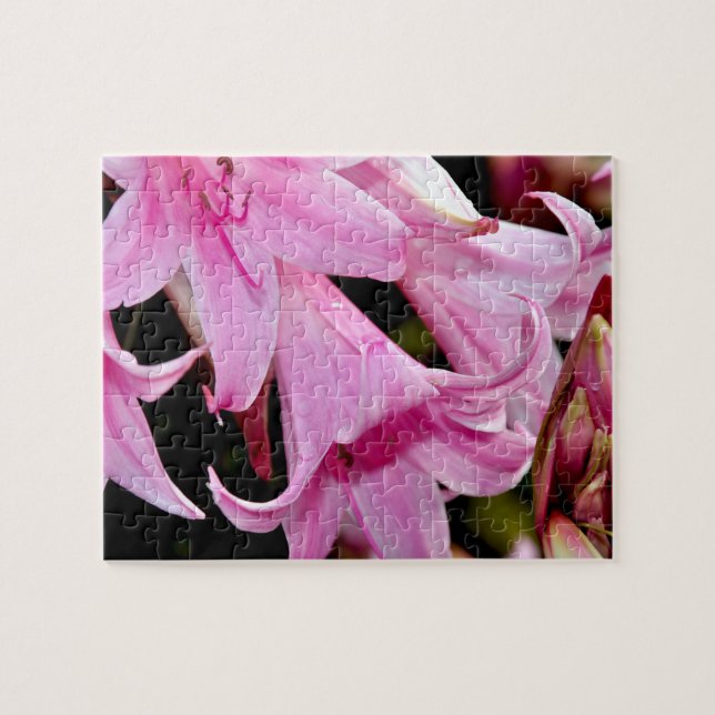 Puzzle Animadas lirios rosas (Horizontal)