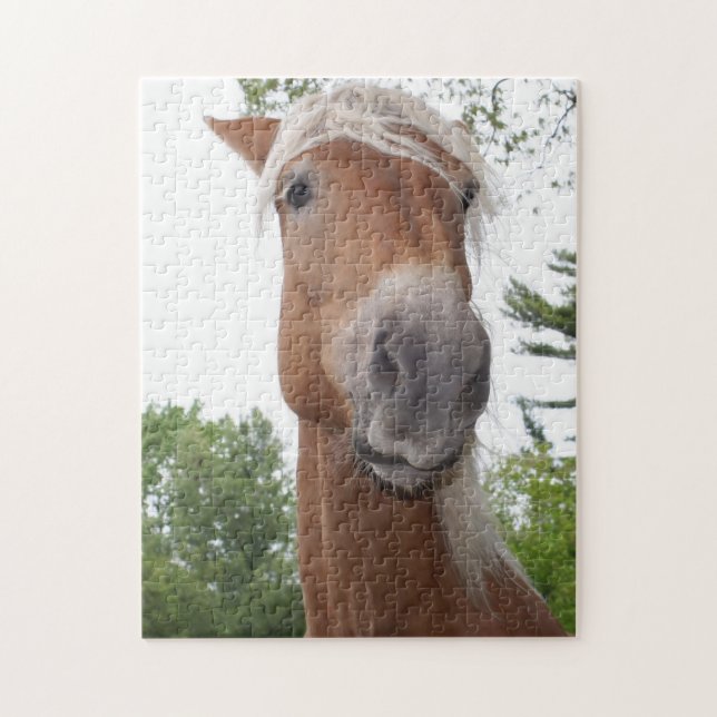 Puzzle Animal belga de tiro al caballo (Vertical)