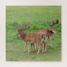 Puzzle animal, ciervo, naturaleza, vida silvestre, silves